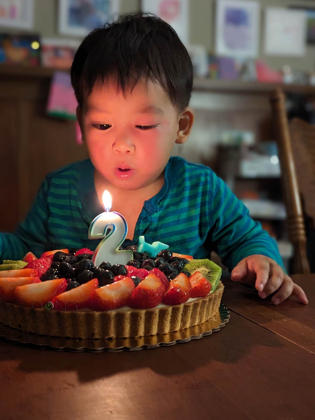 Goodbye 2023! What a Memorable Year You've Been! 12 Nikko turns 2 while having pink eye