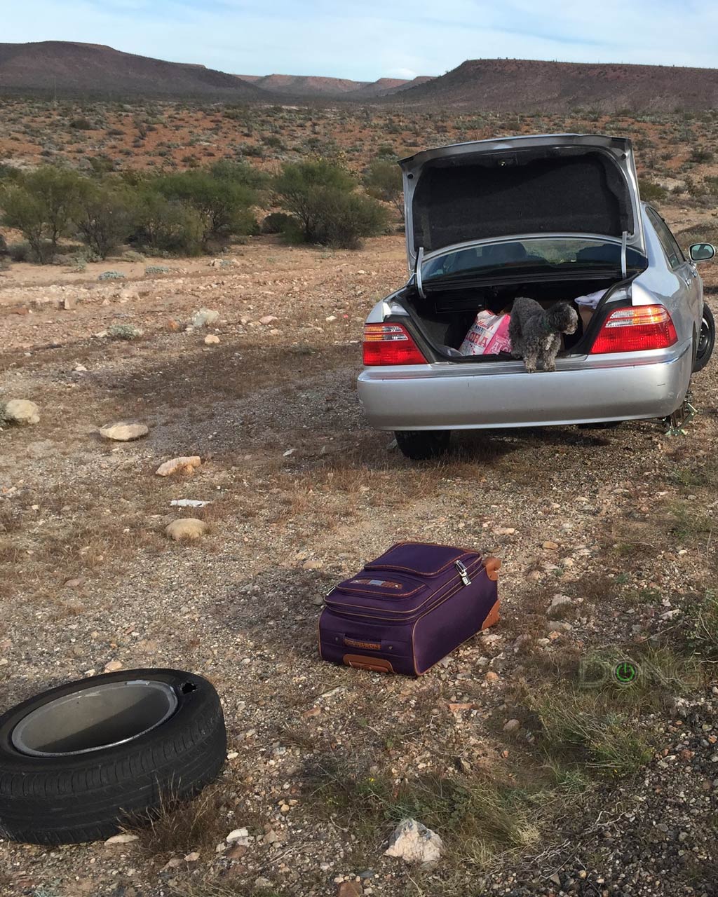 Tesla Flat Tire on a Model Y and a Real Story of Driving without a "Donut" 4 Tire Punture Baja California Desert 4